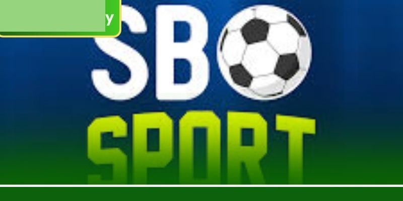 এসবিও স্পোর্ট: 5666BET-এ প্রতিদিন ১০০+ লাভজনক বেটিং মার্কেট